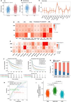 The baseline hemoglobin level is a positive biomarker for immunotherapy response and can improve the predictability of tumor mutation burden for immunotherapy response in cancer